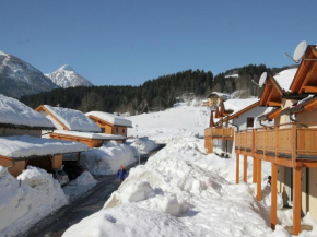 Spacious Chalet in K tschach Mauthen near Ski Area